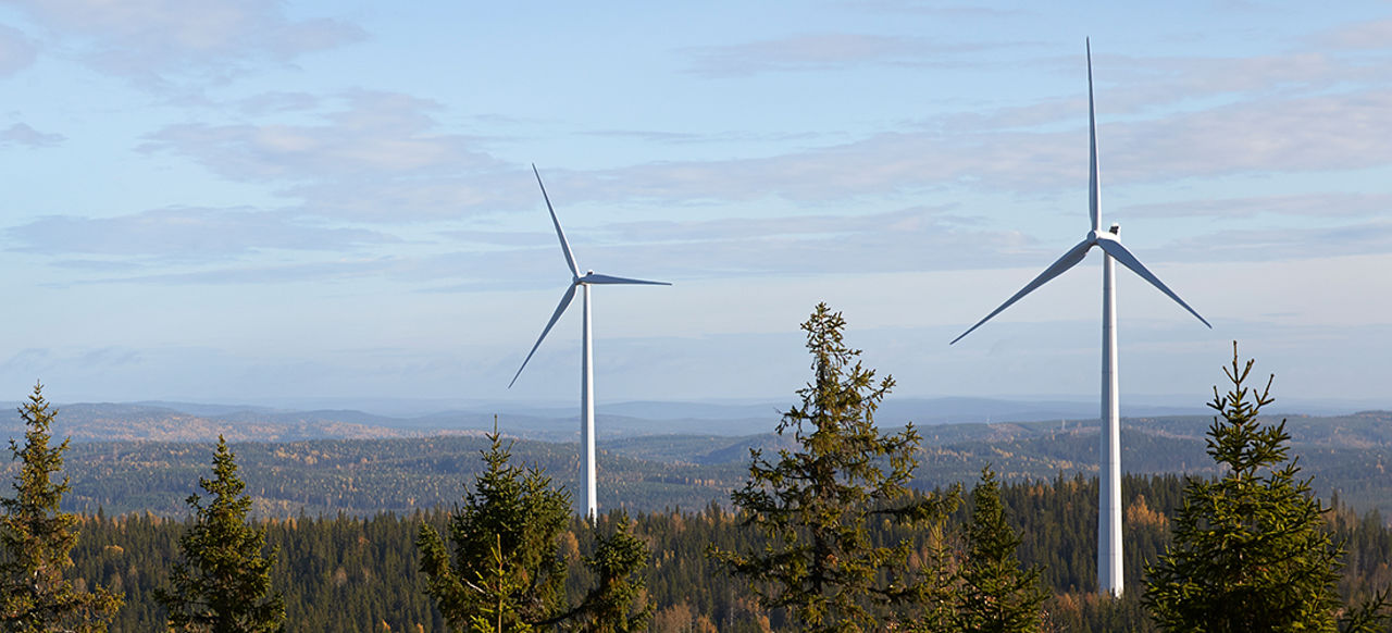 Wind farm in the forest