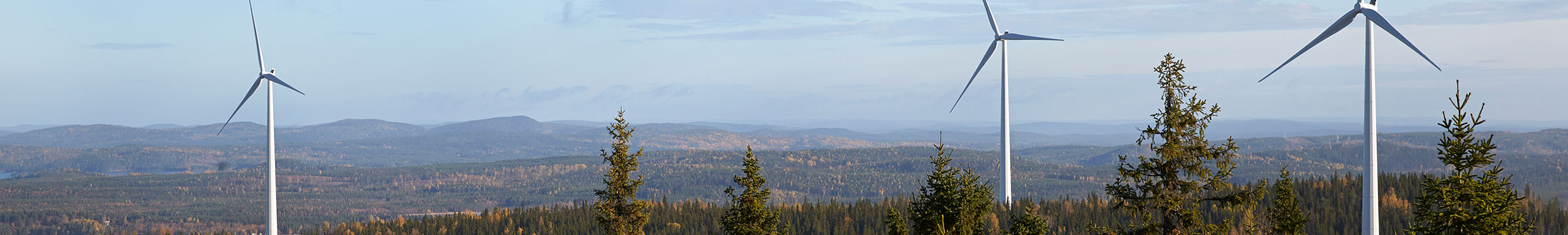 A wind farm surrounded by a forest